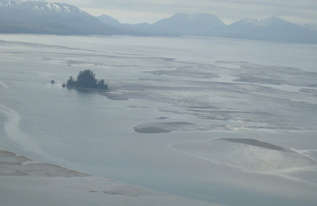 View of silty the Copper River from a float plane